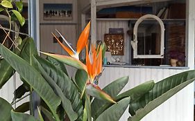 B&B Fischerstueble - Adults Only